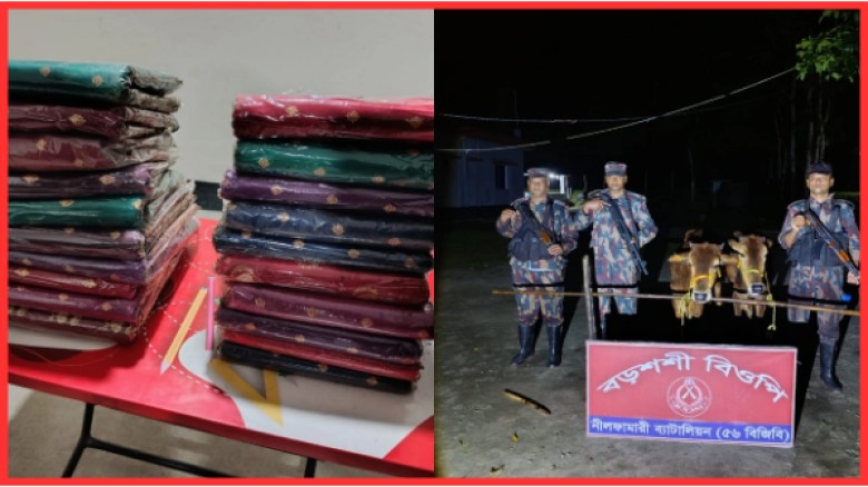 পঞ্চগড় সীমান্তে ভারতীয় শাড়ি ও গরু জব্দ, মূল্য প্রায় ৩.৭ লাখ 