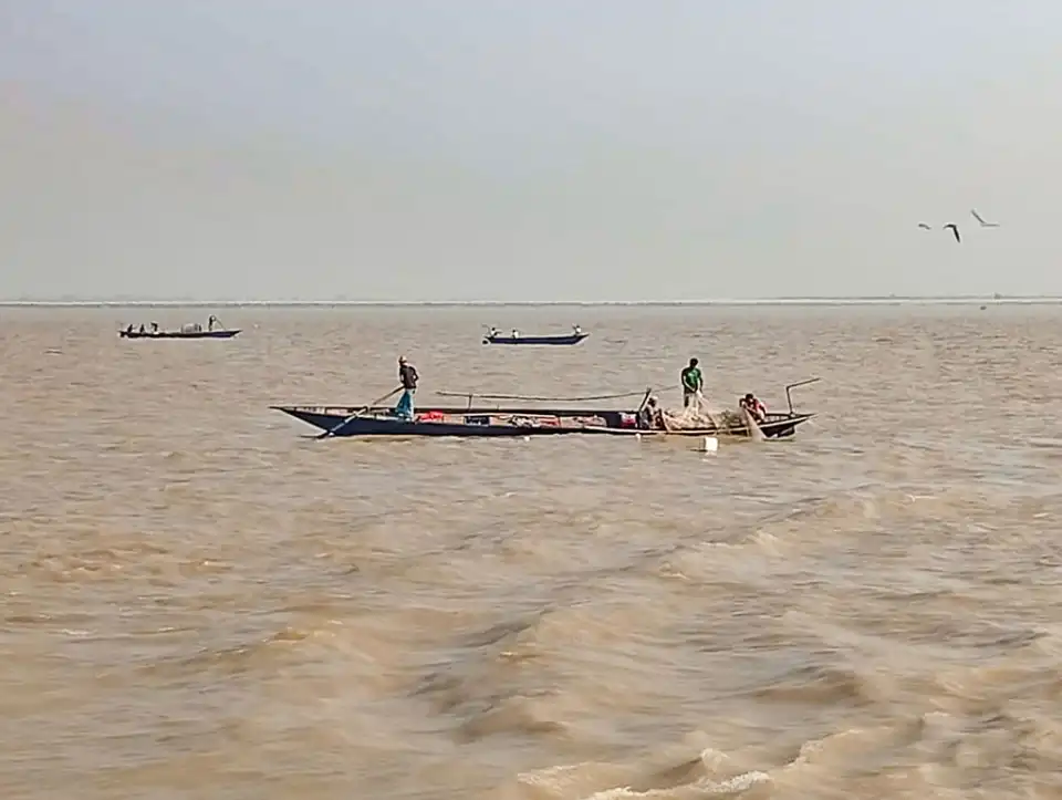 নিষেধাজ্ঞা অমান্য করে পদ্মায় চলছে মা ইলিশ শিকার ও বেচাকেনা...