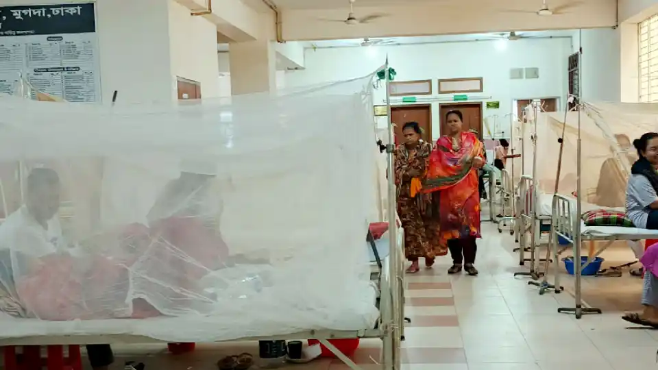 ডেঙ্গুতে নতুন প্রাণহানি চার, আক্রান্ত দেড় হাজারের বেশি