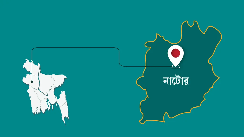 নাটোরে অস্ত্রের মুখে দুই ভ্যানচালকের হাত-পা বেঁধে রসুন লুট...