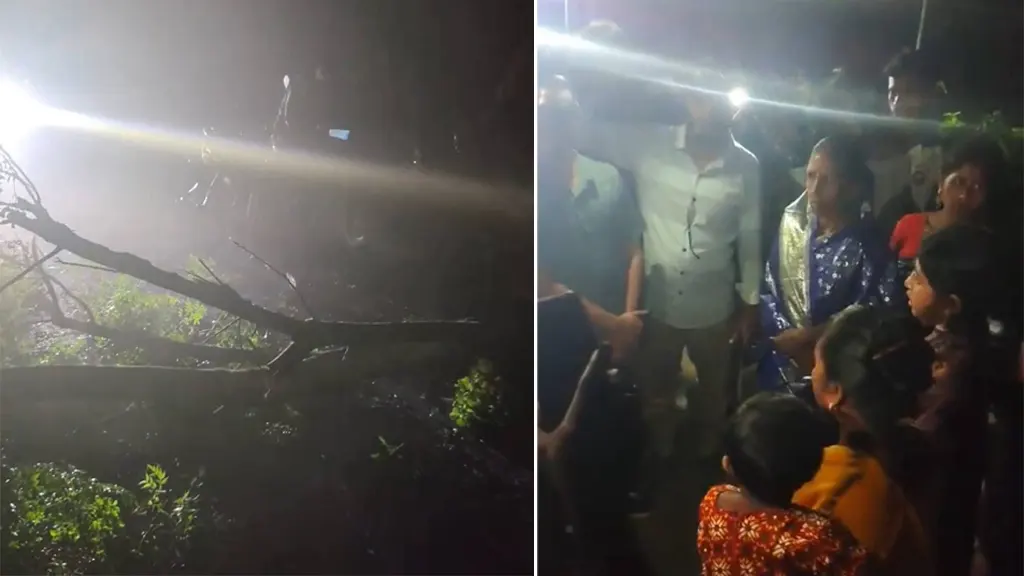 পূজা শেষে বাড়ি ফেরার পথে কুষ্টিয়ায় সড়কে গাছ ফেলে অস্ত্রের মু