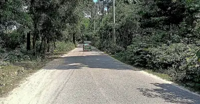 গাছের গুঁড়ি ফেলে গাড়ি থামিয়ে যাত্রীদের জঙ্গলে নিয়ে নির্যাতন 