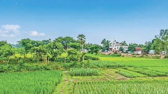 কবির স্মৃতিবিজড়িত বাড়ির পাশে দেড় শ বছরের প্রাচীন মসজিদ