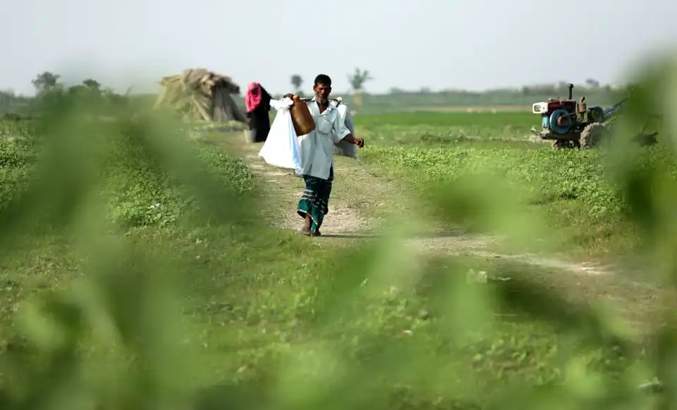 মাথায় ফসলের বস্তা আর পিঠে ভার নিয়ে যমুনার চরে জীবনযুদ্ধ