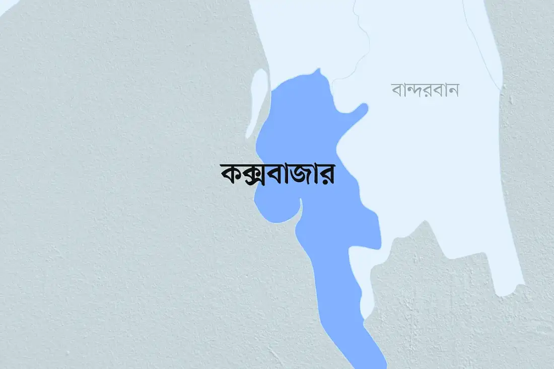 চা বানাতে গিয়ে রান্নাঘরে রাজগোখরার মুখোমুখি নারী