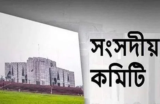 আইনি দুর্বলতায় কার্যকারিতা হারাচ্ছে সংসদীয় ফোরাম