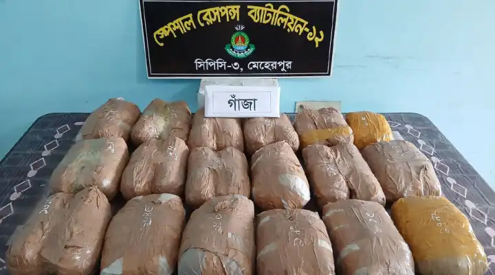 চুয়াডাঙ্গায় সাড়ে ১৮ কেজি গাঁজাসহ নারী গ্রেপ্তার