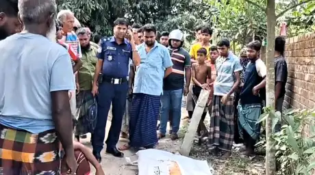 ভ্যান থেকে ছিটকে পড়ে ট্রাকের নিচে মৃত্যু