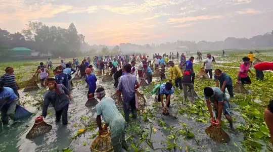মানিকগঞ্জে তিন কিমি নদীজুড়ে পলোবাইচ উৎসব অনুষ্ঠিত