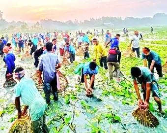 সংকট পেরিয়ে ঘিওরে টিকে আছে প্রাচীন পলো বাইচ উৎসব