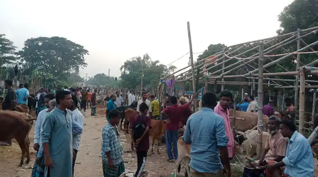 পশুর হাটে অতিরিক্ত হাসিল আদায়ের অভিযোগ