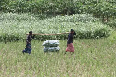 পল্লী অঞ্চলের উন্নয়নে প্রয়োজন কার্যকর নীতিমালা
