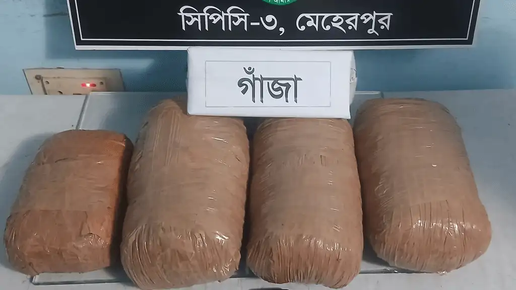 গাংনীতে গাঁজা উদ্ধারের ঘটনায় মামলা ও থানায় সোপর্দ