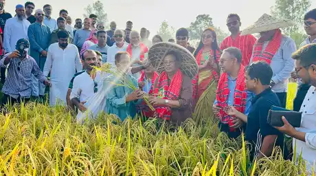 উৎপাদন খরচ কমাতে কৃষি যান্ত্রিকীকরণে জোর সরকারের