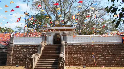 চাঁদে ছয়বার যাওয়ার সমান পথ উড়েছে বিশ্বের সবচেয়ে বয়স্ক পাখি উ