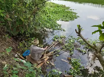 শখ আর পেশার টানে ফরিদপুরের নদীতীরে মাছ ধরার ধুম