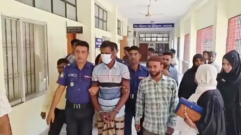 মেহেরপুরে স্কুলছাত্রী ধর্ষণ মামলায় যুবকের যাবজ্জীবন কারাদণ্