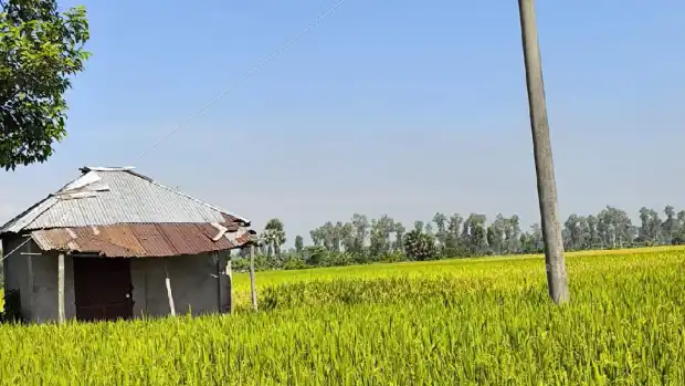 নলকূপ বন্ধ রাখার ঘটনায় আইনি ব্যবস্থার হুশিয়ারি ইউএনও'র...